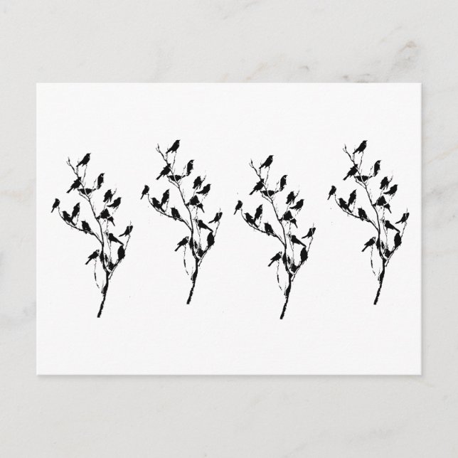 Grackle Shadows Postcard (Front)