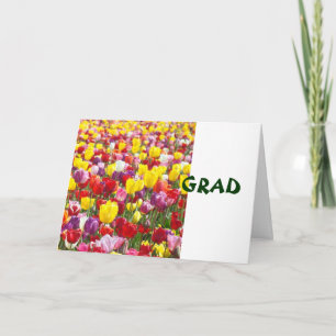 GRAD greeting cards Congratulations Tulip Flowers