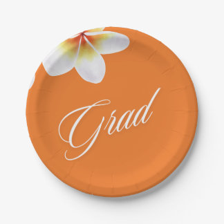 grad party balloon paper plate