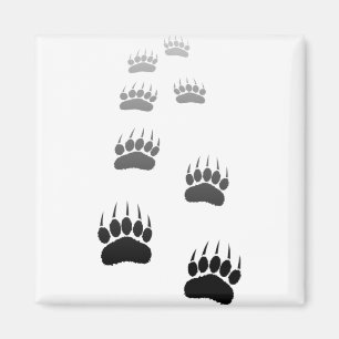 Gradient Black Bear Paw Print Magnet