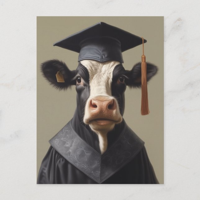Graduate Cow Postcard (Front)