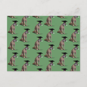 Graduate Coyote Announcement Postcard