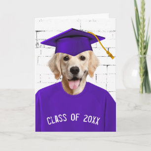 Graduate Golden Retriever Purple T-shirt Card