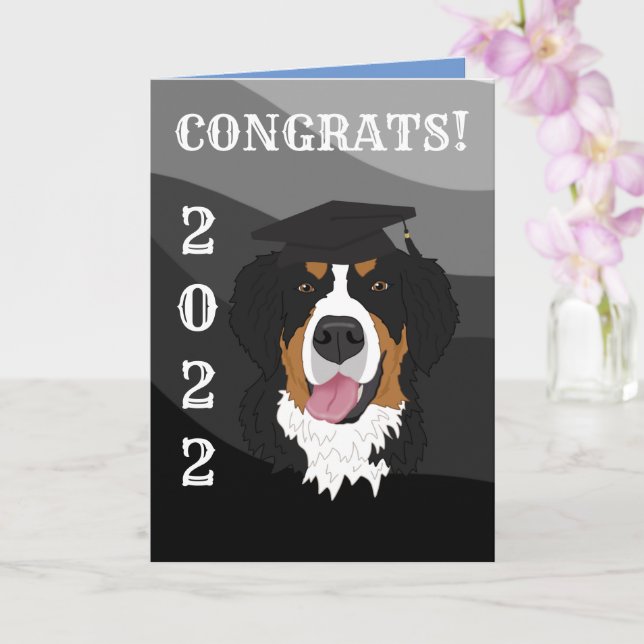Graduation Bernese Mountain Dog  Card (Orchid)