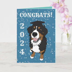 Graduation Bernese Mountain Dog Card
