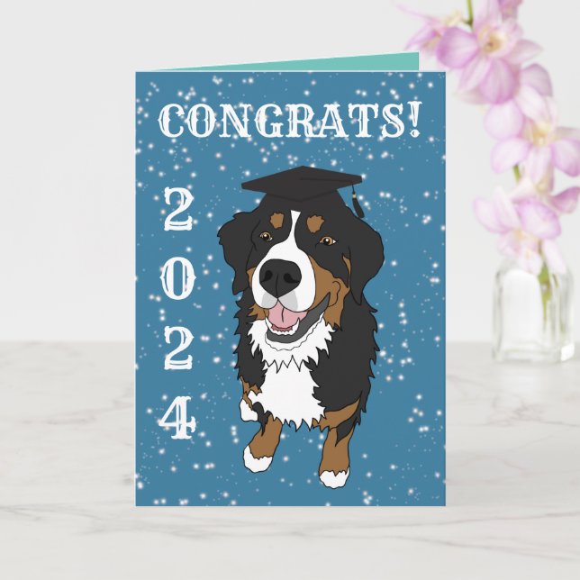 Graduation Bernese Mountain Dog  Card (Orchid)