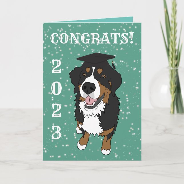 Graduation Bernese Mountain Dog  Card (Front)
