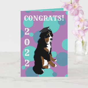 Graduation Bernese Mountain Dog  Card