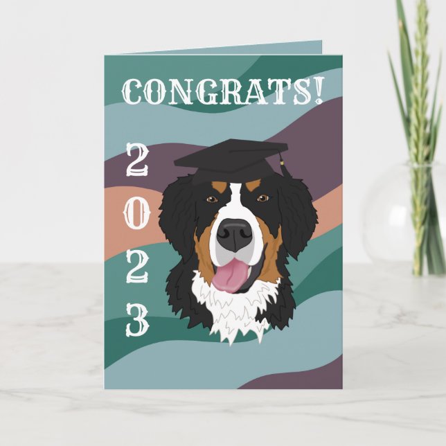 Graduation Bernese Mountain Dog Card (Front)
