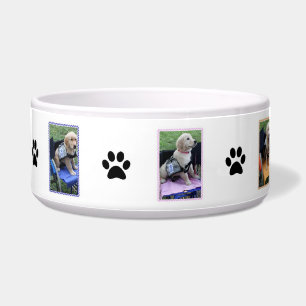 Graduation Bowl