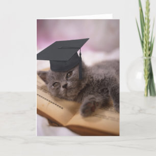 Graduation, cat with hat card