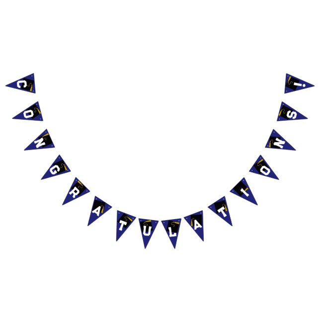 Graduation Congratulations Blue Bunting (All)