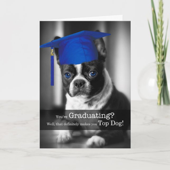 Graduation Congratulations Boston Terrier Dog Card (Front)