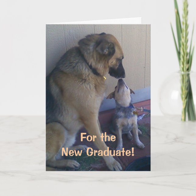 Graduation Congratulations Dogs Card (Front)