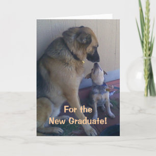 Graduation Congratulations Dogs Card