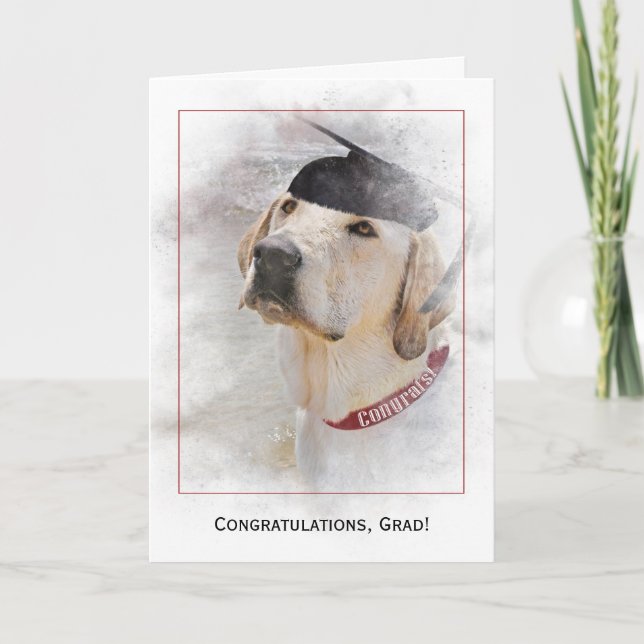graduation congratulations Labrador Retriever Card (Front)