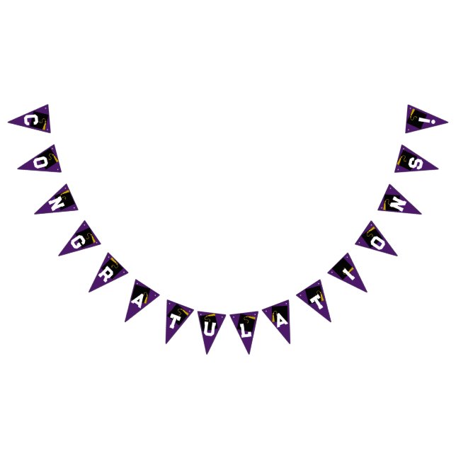 Graduation Congratulations Purple Bunting (All)