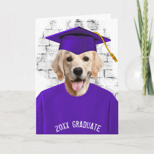 graduation golden retriever in purple t-shirt card