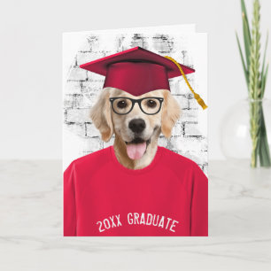 graduation golden retriever in red t-shirt card