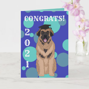 Graduation Leonberger Card