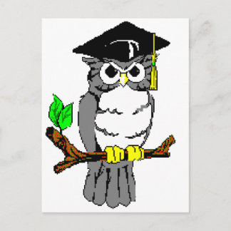 Graduation Owl Announcement Postcard