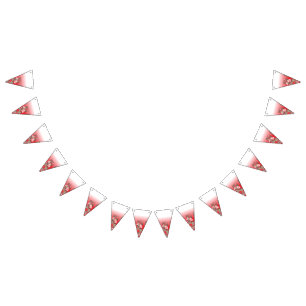 Graduation & Party Bunting Flags   Custom Decor