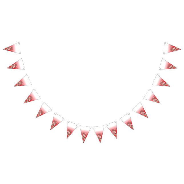 Graduation & Party Bunting Flags | Custom Decor (All)