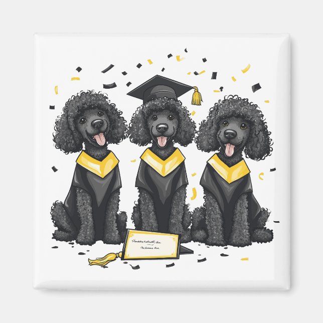 Graduation Standard Poodle Dogs Magnet (Front)