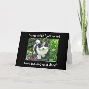 GRADUATION WISHES FROM THE DOG NEXT DOOR CARD