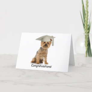Graduation Yorkie Congratulations Card