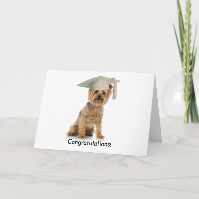 Graduation Yorkie Congratulations Card (Front)