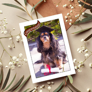 Graduations From Vet School Dog Card