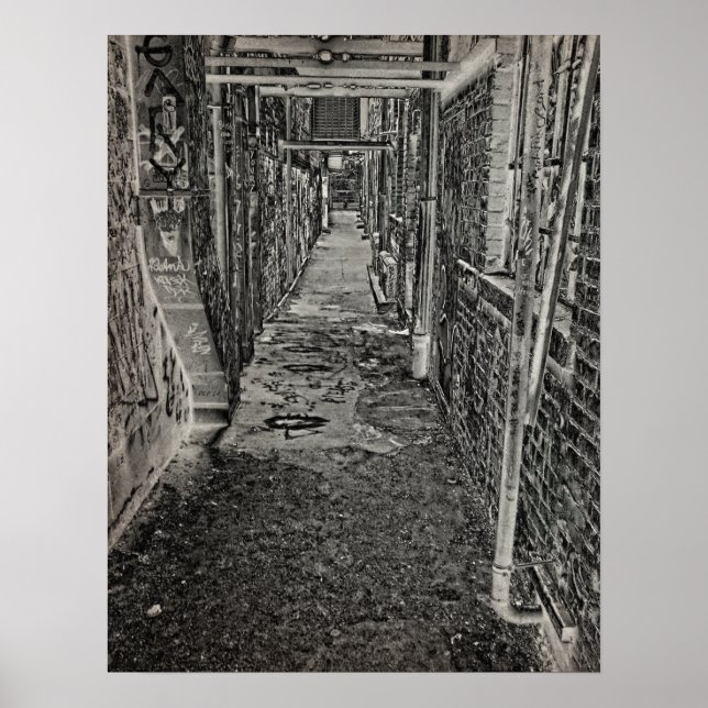 Graffiti Alley Poster (Front)