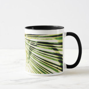 Graffiti on a shutter mug