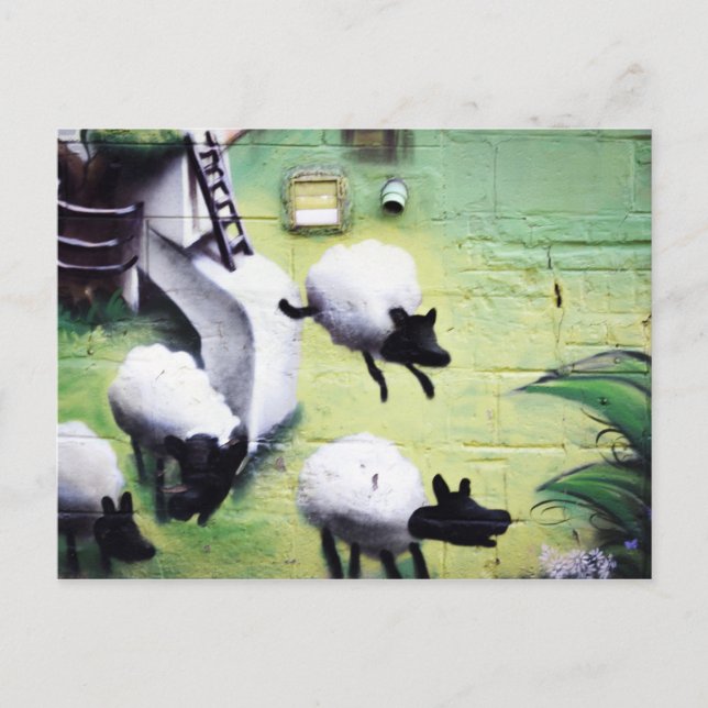 Graffiti / Street Art Sheep Jumping Postcard (Front)