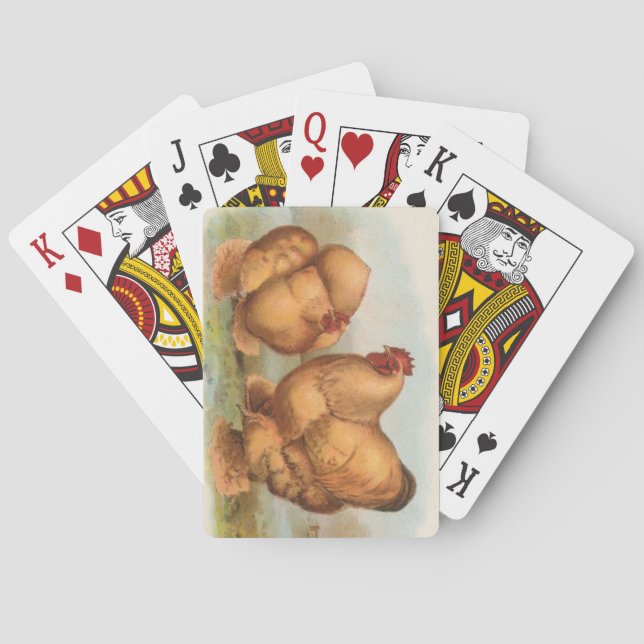 Graham - Buff Cochin Chickens Playing Cards (Back)