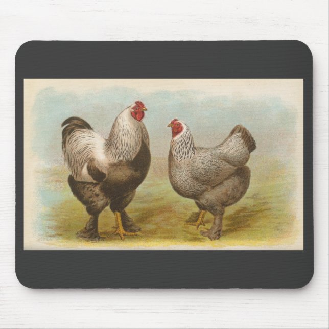 Graham - Dark Brahma Chickens Mouse Pad (Front)