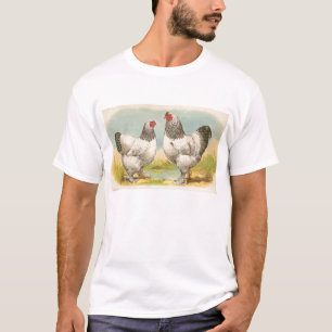 Graham - Light Brahma Chickens T-Shirt