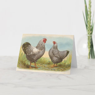 Graham - Silver Laced Wyandotte Chickens Card