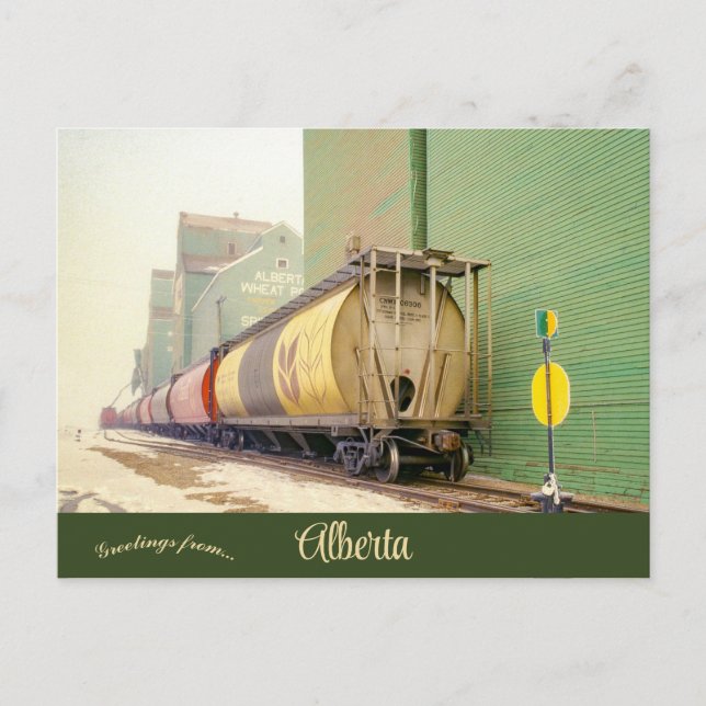 Grain Cars in Spirit River Alberta Canada Postcard (Front)