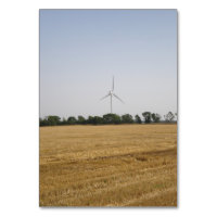 Grain field on the wind farm