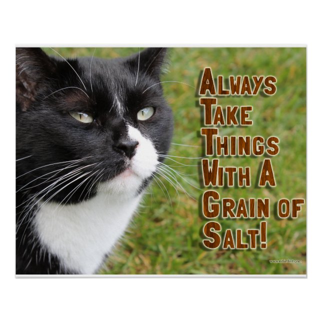 Grain Of Salt Cat Motivational Slogan Photo Poster (Front)
