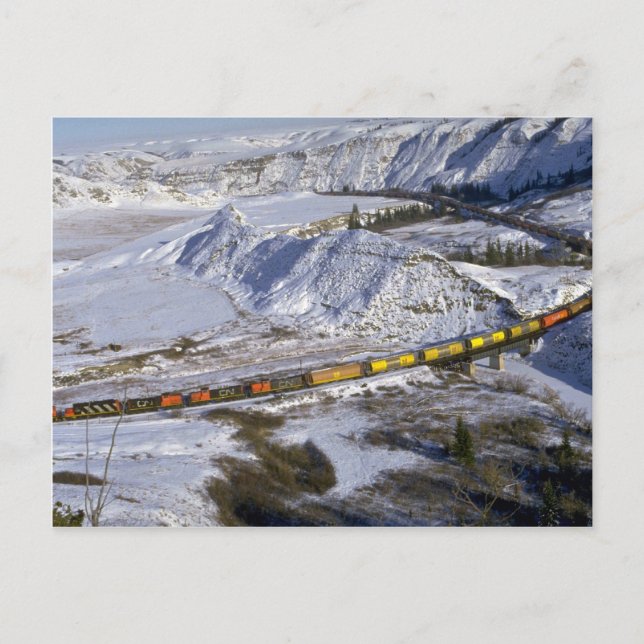 Grain train, Alberta, Canada Winter Postcard (Front)