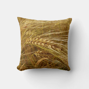 Grains of wheat in the field. It’s Harvest Time! Cushion