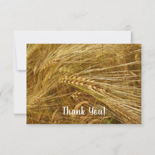 Grains of wheat in the field. It’s Harvest Time! Thank You Card