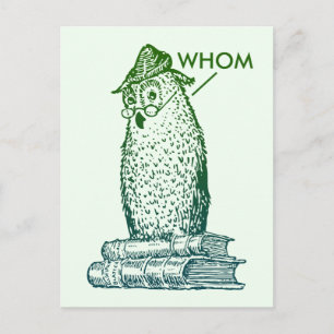 Grammar Owl Says Whom (green) Postcard
