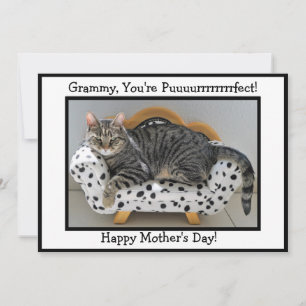 Grammy, You're Puurrfect! Tiger Cat Mother's Day Holiday Card