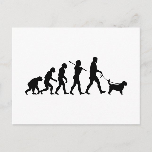 Grand Basset Griffon Vendeen Postcard (Front)