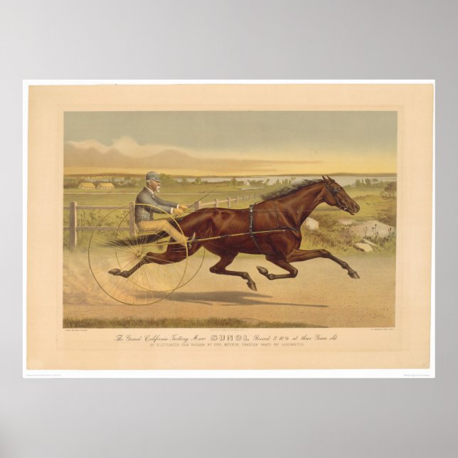 Grand California Trotting Mare Sunol (0652A) Poster (Front)