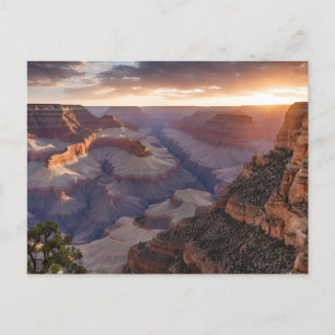 Grand Canyon (3) Postcard